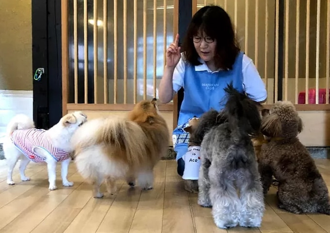 ベテラントレーナーが担当